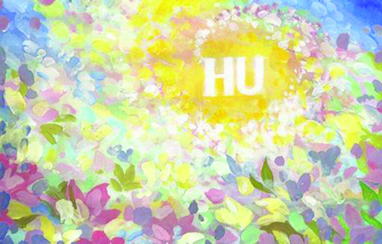 HU_02_color_HI